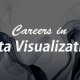 Careers in Data Visu...